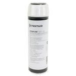 Pentair Everpure CGT-10S 10 inch by 2 point 5 inch Water Filter With Scale Protection Part EV9108-13