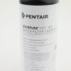 Pentair Everpure CGT-10S 10 inch by 2 point 5 inch Water Filter With Scale Protection Part EV9108-13